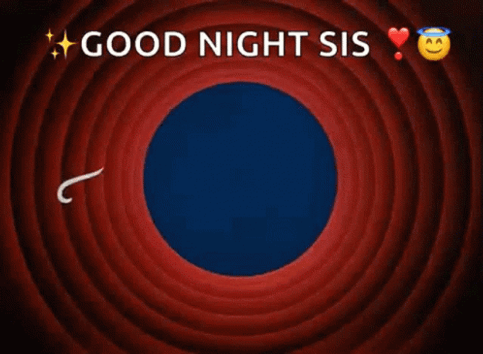 Goodnight Sis That's All Folks GIF