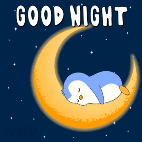 Goodnight Sleep GIF