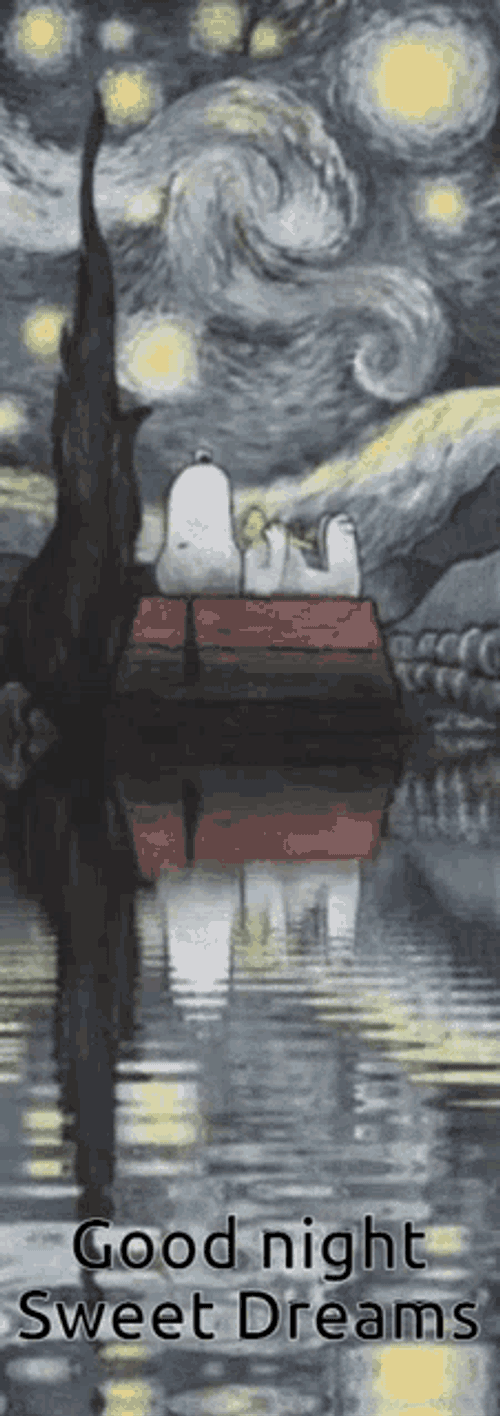 Goodnight Snoopy Starynight GIF