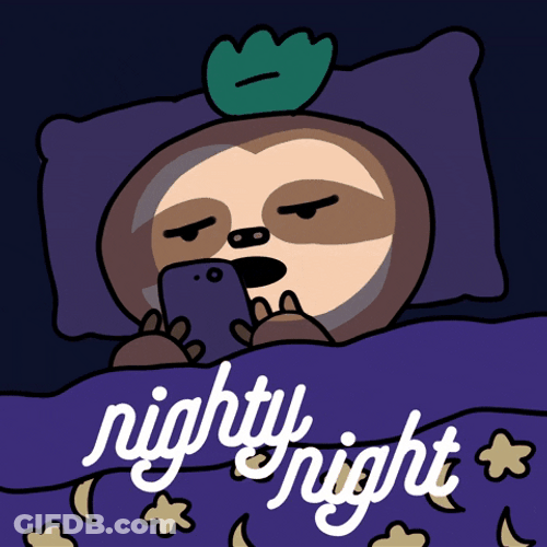 Goodnight Snoozy Cartoon In Bed GIF
