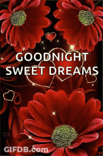 Goodnight Sweet Dreams Card With Red Flowers And Hearts GIF