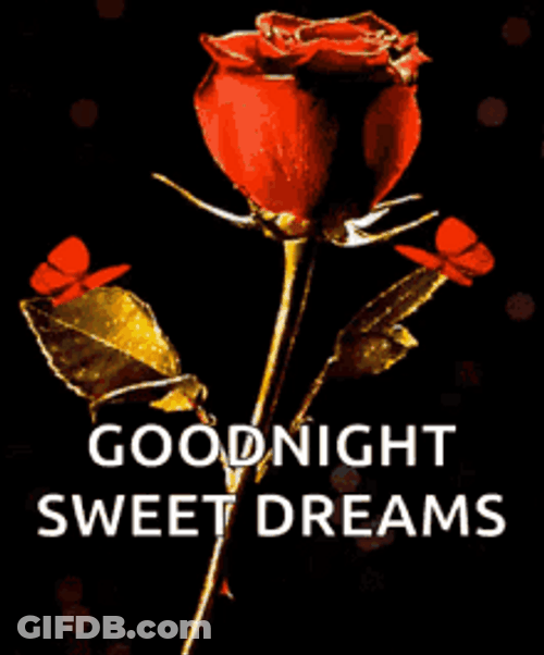 Goodnight Sweet Dreams Red Rose GIF