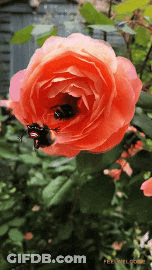 Goofy Ahh Bee Going Out GIF