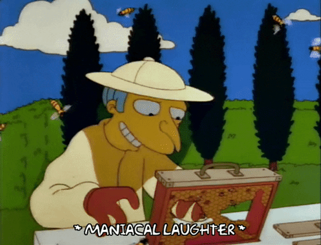 Goofy Ahh Bee Mr. Burns GIF