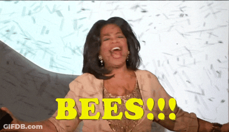 Goofy Ahh Bee Oprah Winfrey GIF