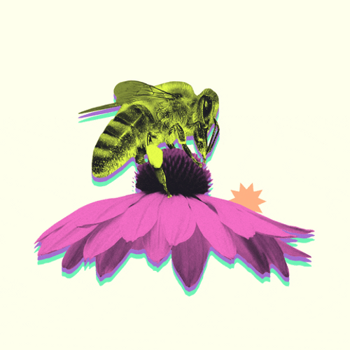 Goofy Ahh Bee Pollinating GIF