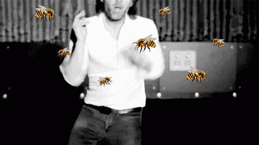 Goofy Ahh Bee Thom Yorke GIF