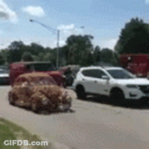 Goofy Ahh Cars Transparent Gold Vehicle GIF