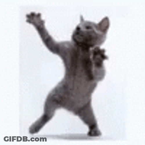 Goofy Ahh Dance Gray Cat GIF