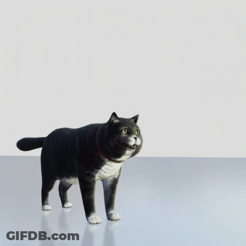 Goofy Ahh Griddy Flowy Cat GIF