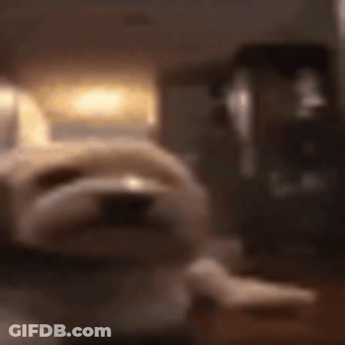 Goofy Ahh Griddy Flying Dog GIF