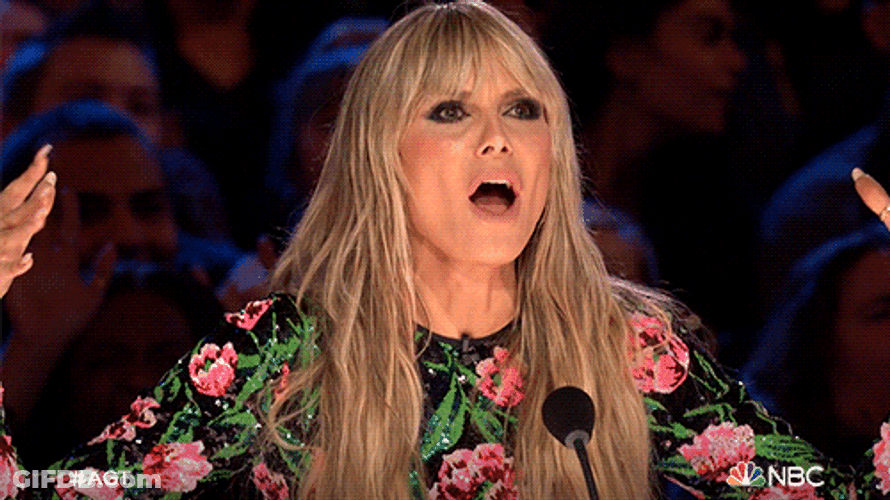 Goofy Ahh Heidi Klum Meme GIF