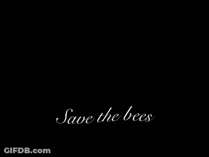 Goofy Ahh Save The Bees GIF