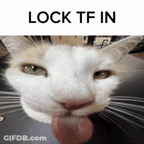 Goofy Cat Locked It In GIF