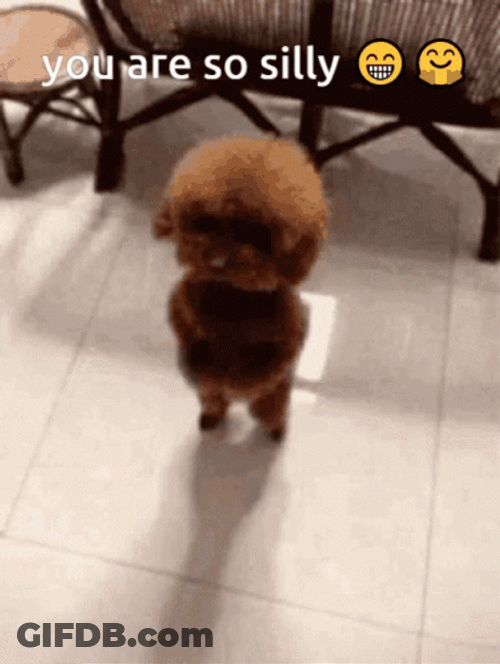 Goofy Cute Puppy Dancing GIF