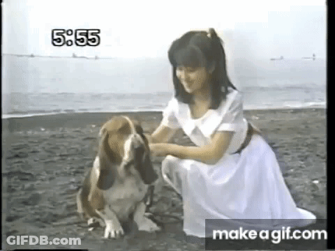 Google Search 7% Of 1543 720,000 Results GIF