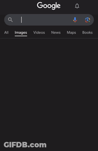 Google Search UFC LHW GOAT GIF