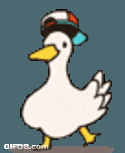 Goose Cap Dancing Twirl GIF
