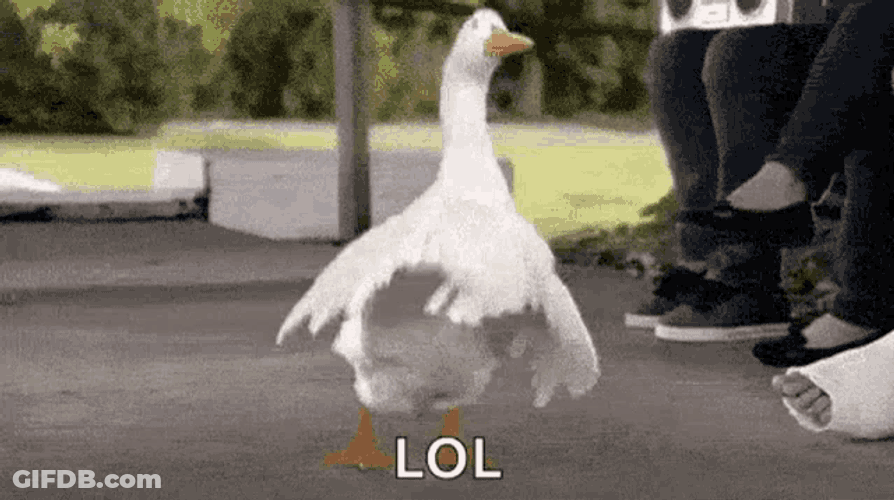 Goose Dance GIF