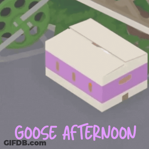 Goose In Cardboard Box With Goose Afternoon GIF