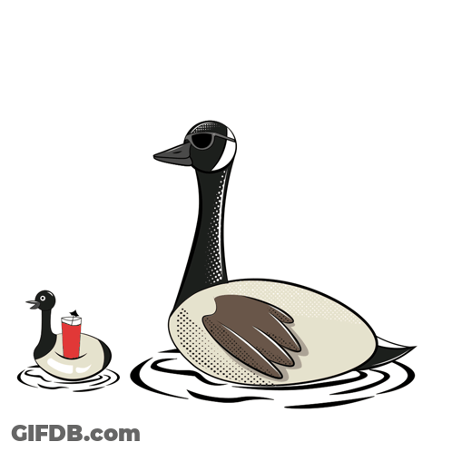Goose In Sunglasses Next To Duck With Drink On Float GIF