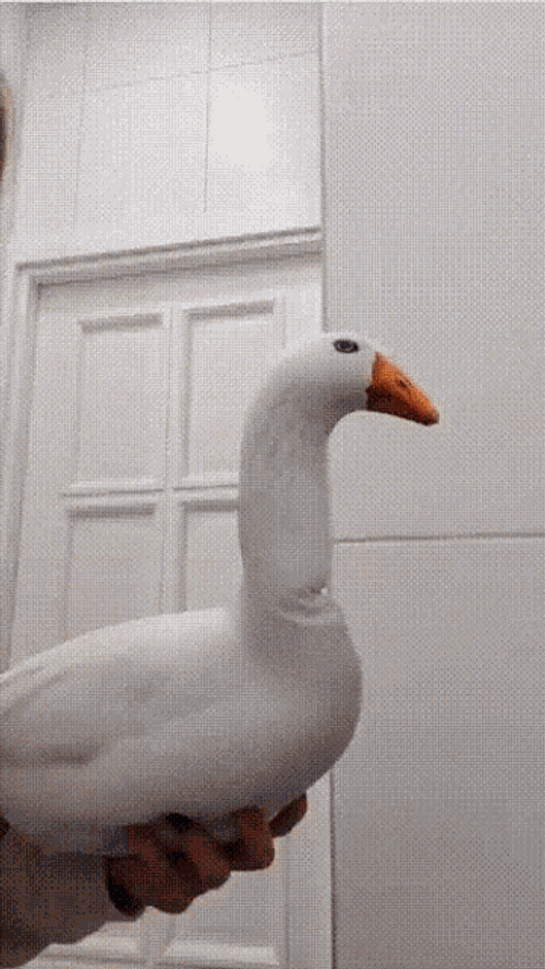 Goose Inflatable Goose Look Turn GIF