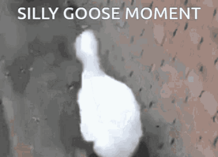 Goose Silly Goose Moment Funny Waddle GIF