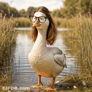 Goose Wearing Glasses In Water With Woman's Hair GIF
