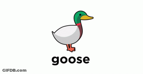 Goose With Goose Text GIF