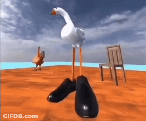 Goose With Long Legs Standing On Chair GIF
