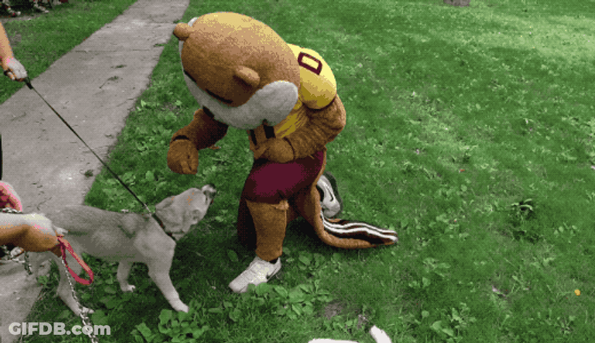 Gophers Being Friends With The Dogs GIF