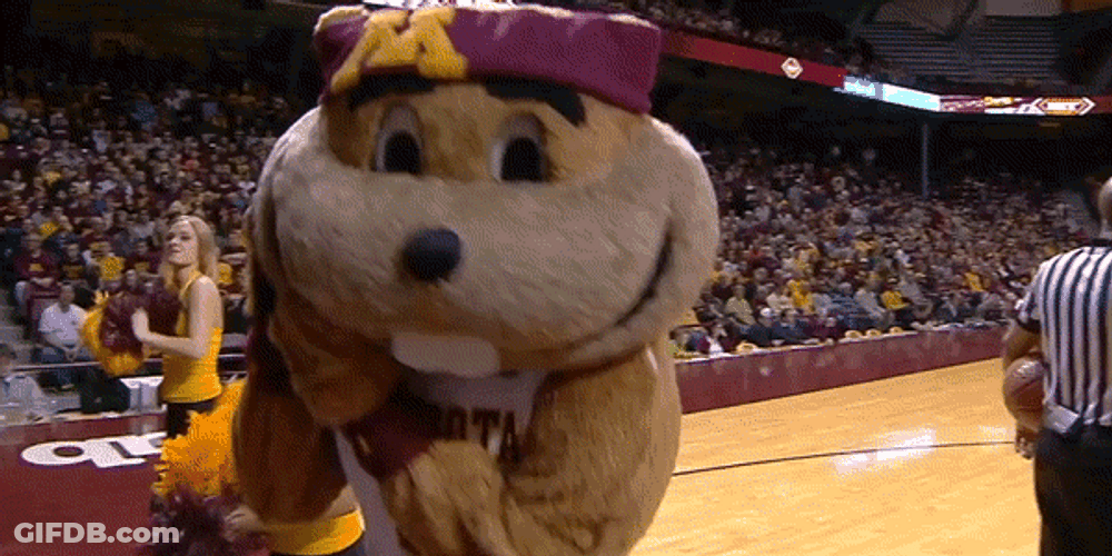 Gophers Joins The Cheering Team GIF