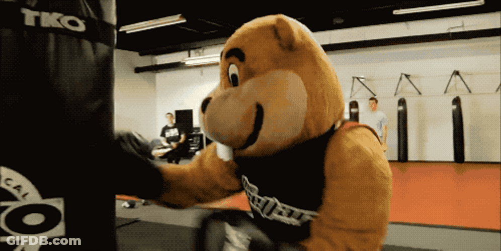 Gophers Mascot Boxing Session GIF