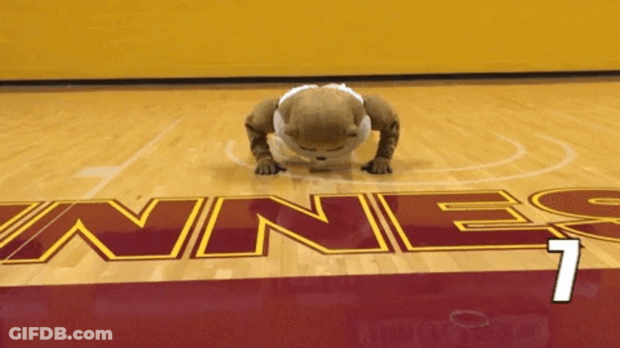 Gophers Mascot Doing Push Ups GIF