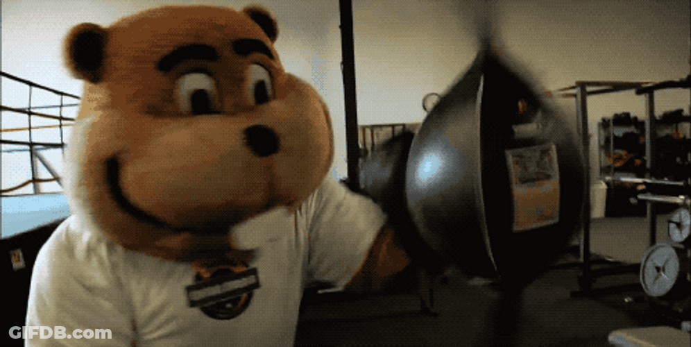 Gophers Mascot Loving Boxing GIF