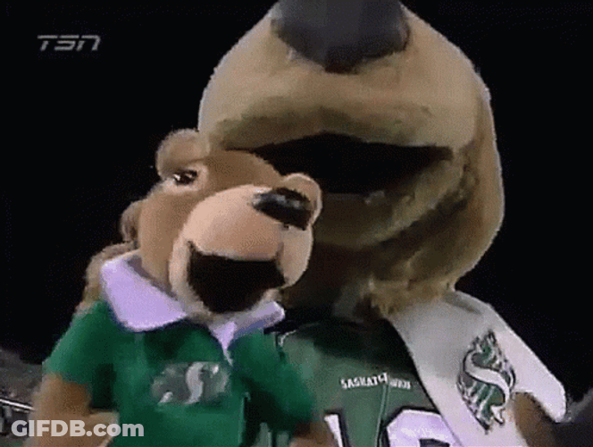 Gophers Mascot With Plushie GIF