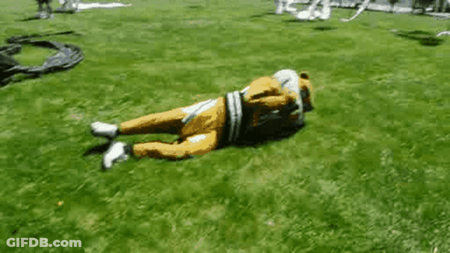 Gophers Rolls On The Ground GIF