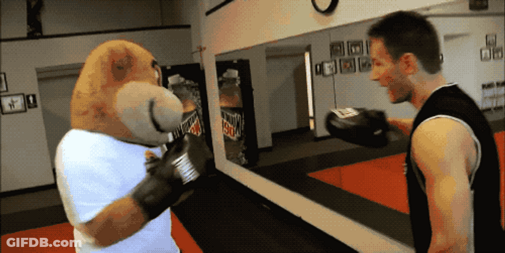 Gophers Tries Boxing GIF
