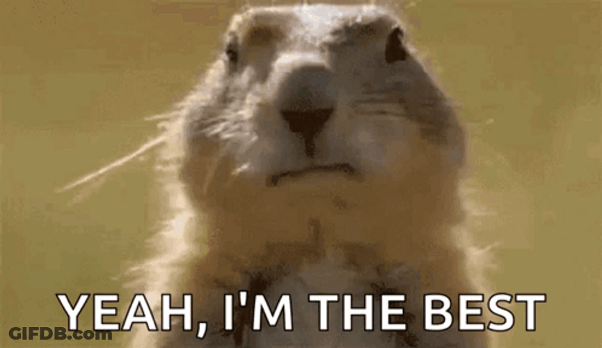 Gophers Yeah I'm Best GIF