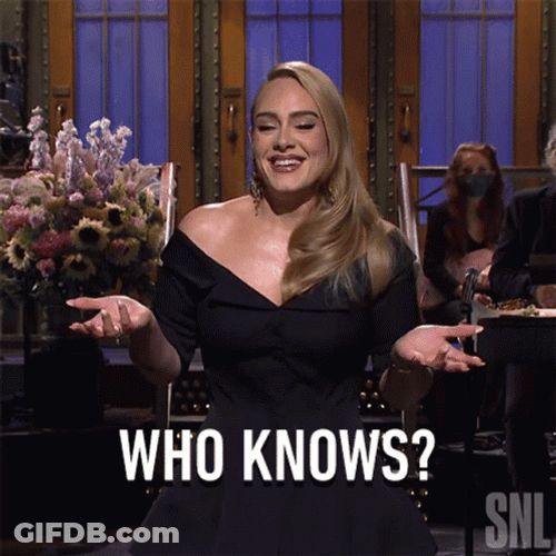Gorgeous Adele Who Knows GIF