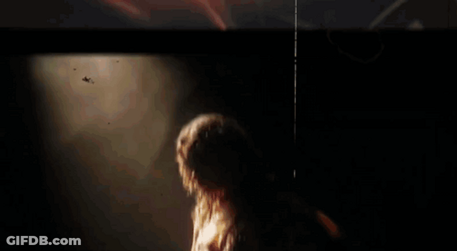 Gorgeous Lola Vice GIF