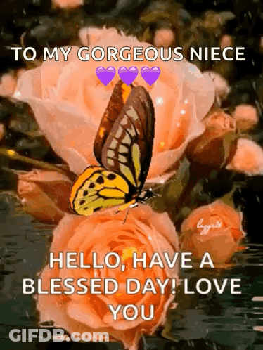 Gorgeous Niece Hello Have A Blessed Day Love You GIF