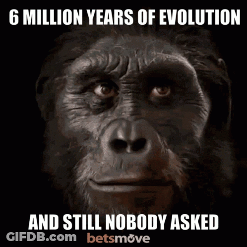 Gorilla 6 Million Years Of Evolution And Still Nobody Asked Betsmove GIF