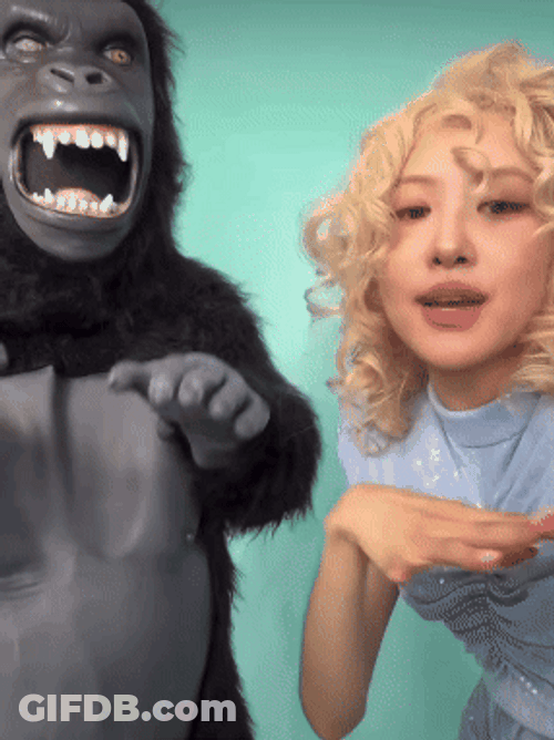 Gorilla And Rose Dancing Apt GIF