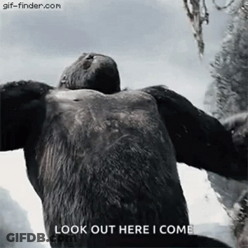 Gorilla Arms Outstretched Look Out Here I Come GIF