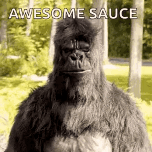 Gorilla Awesome Sauce Thumbs Up GIF
