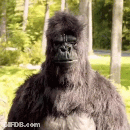 Gorilla Costume In Forest GIF