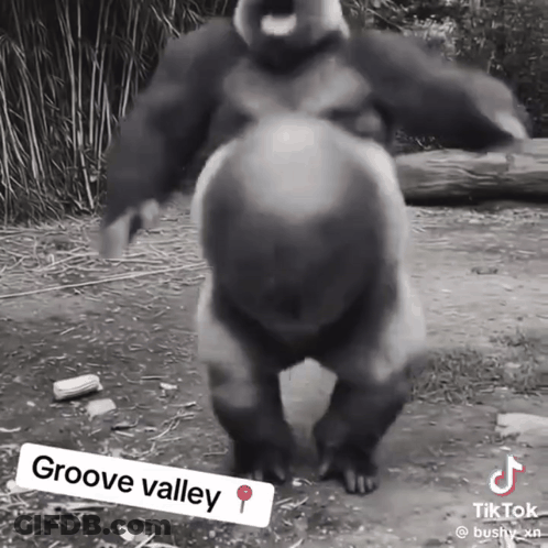 Gorilla Dancing Groove Valley GIF
