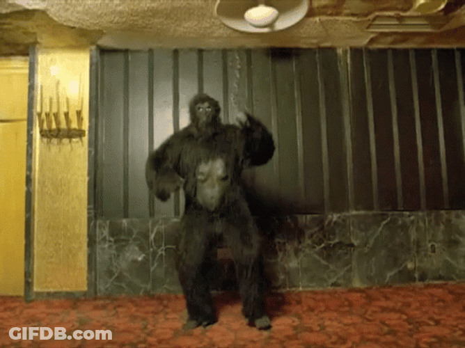 Gorilla Dancing Music Video GIF
