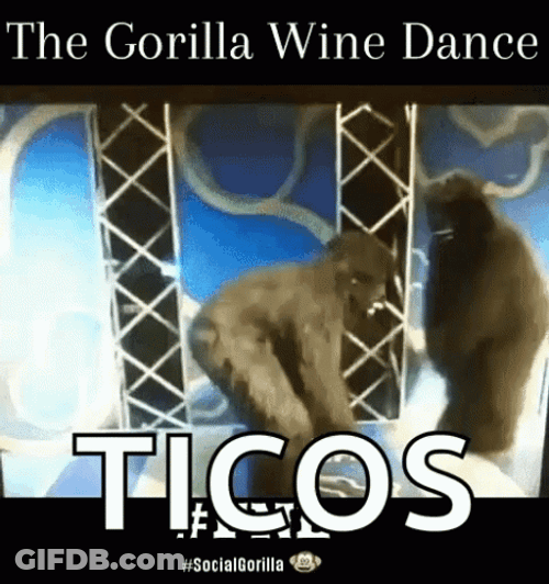 Gorilla Dancing Wine Ticos GIF
